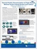 Thermal fluidic Characterization of Triply Periodic Minimal Surface-based Nuclear Fuel Lattices